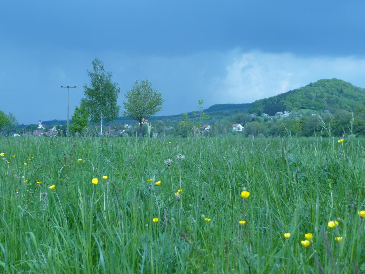 Gasthaus-Pension Zum Kreuz Stuhlingen Dış mekan fotoğraf